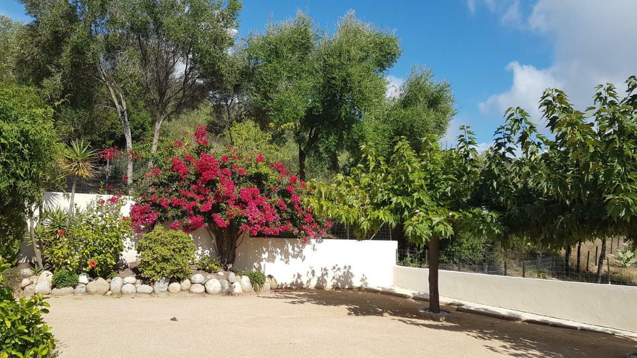 Residence U Melu Grand T3 Jaune A L'Etage تويسيا المظهر الخارجي الصورة