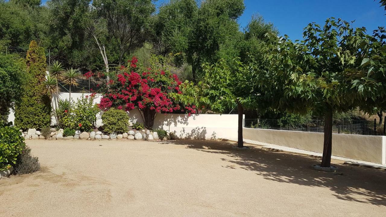 Residence U Melu Grand T3 Jaune A L'Etage تويسيا المظهر الخارجي الصورة